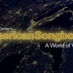 American Music in a Changing America